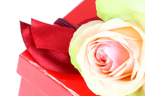 Rose rose et boîte cadeau . — Photo