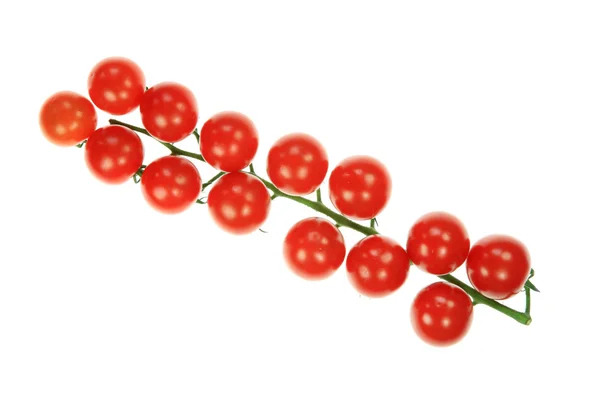 Cherry tomaten. — Stockfoto