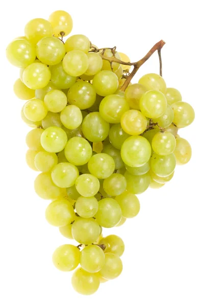 Uvas verdes sobre blanco . —  Fotos de Stock