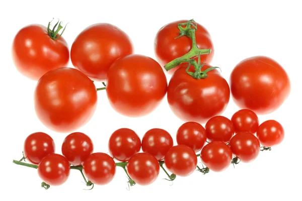 Tomaten op wit. — Stockfoto