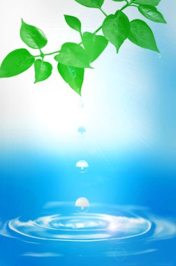 Water drops falling from leaves clipart