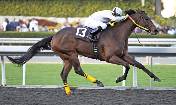 Storming Down the Homestretch