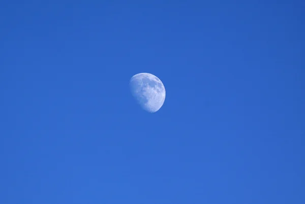 stock image White moon