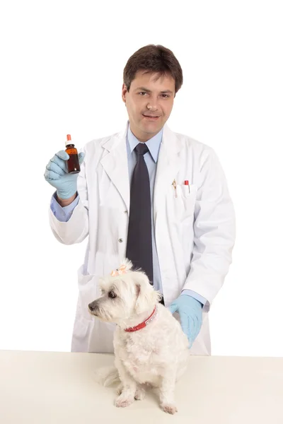 Vet with pet and ointment — Stock Photo, Image