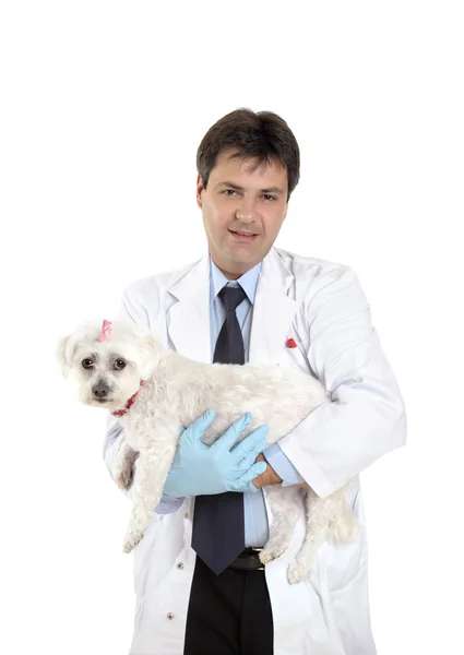 Vet avec chien nécessitant des soins vétérinaires — Photo