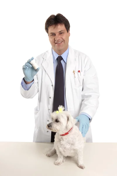 Ветеринар с бутылкой таблеток — стоковое фото