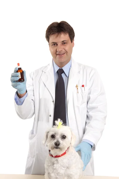 Ветеринар с медициной — стоковое фото