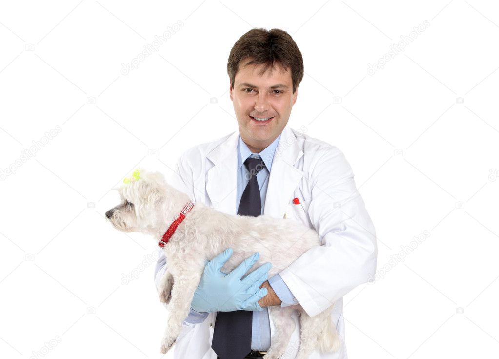 Vet carrying a pet dog