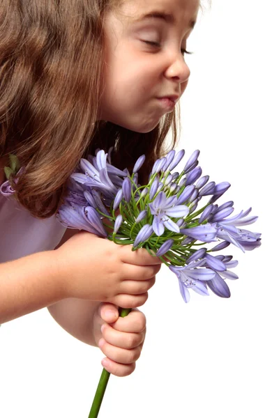 Красивая маленькая девочка держит агапантус фиолетовый цветок — стоковое фото