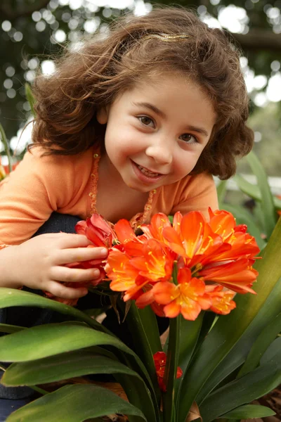 Liten flicka trädgård av clivia miniata — Stockfoto