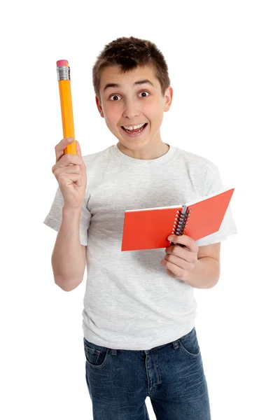 Яркий студент с карандашом и ноутбуком — стоковое фото