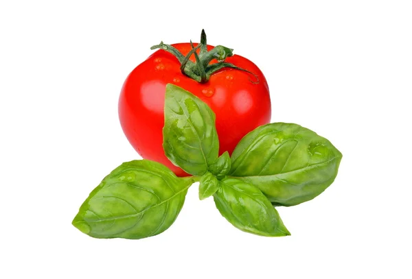 Tomate au basilic — Photo