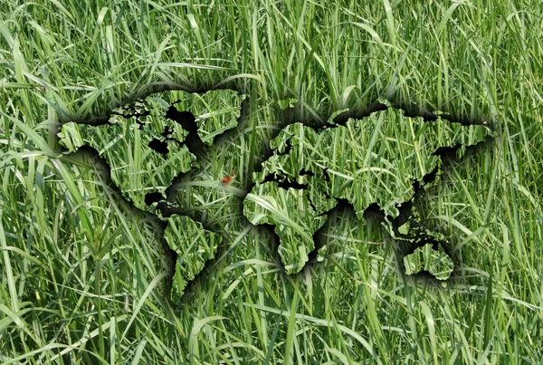 Green grass world map — Stock Photo, Image