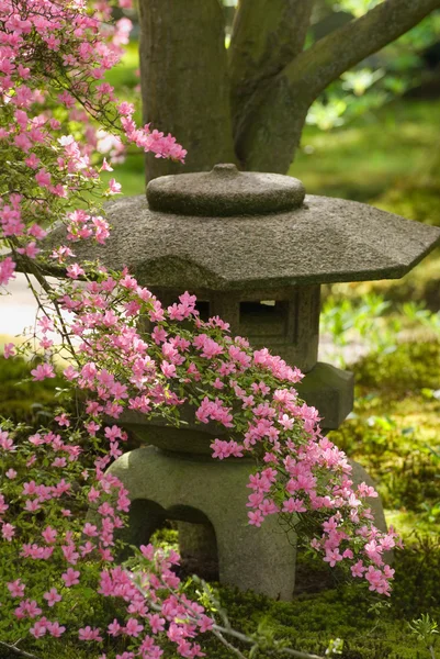 Japanse tuin lantaarn — Stockfoto