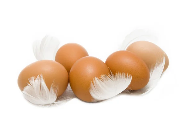 Яйця з пір'ям — стокове фото