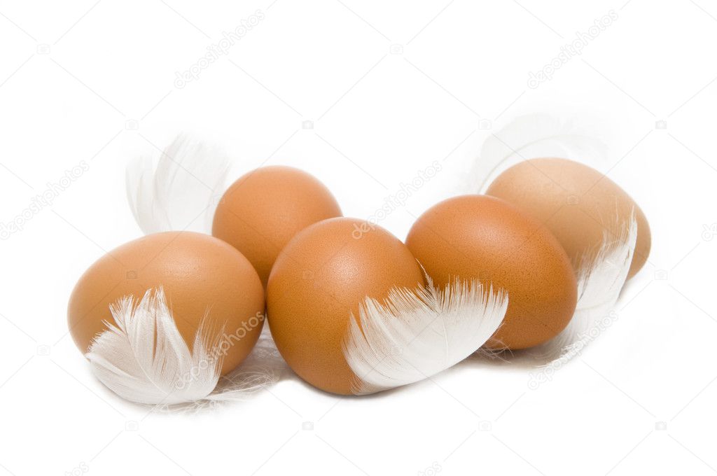 Eggs with feathers