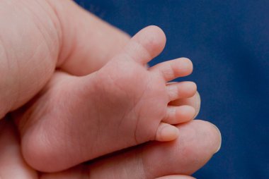 Babyfeet in hand clipart