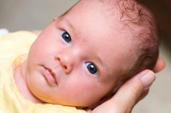 Una cabeza de bebé en las manos — Foto de Stock
