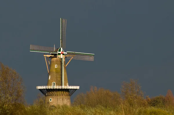 Un mulino a vento olandese — Foto Stock