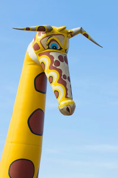 Girafa de borracha — Fotografia de Stock