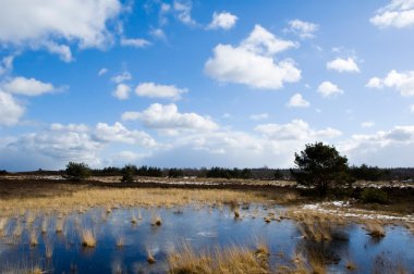 veluwe manzara