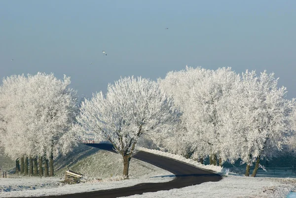 O dijk de inverno — Fotografia de Stock