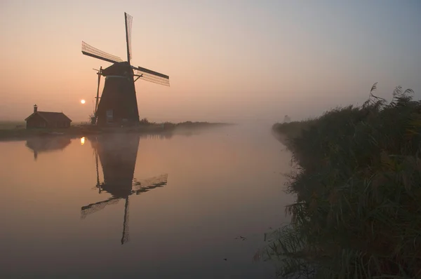 Un mulino a vento olandese Foto Stock Royalty Free