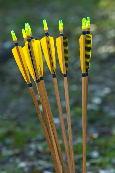 Żółte strzałki — Zdjęcie stockowe