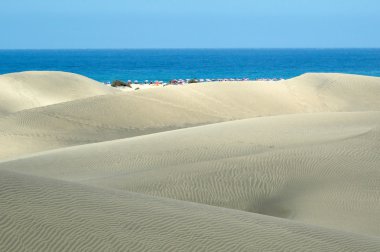 Dunes of gran canaria clipart