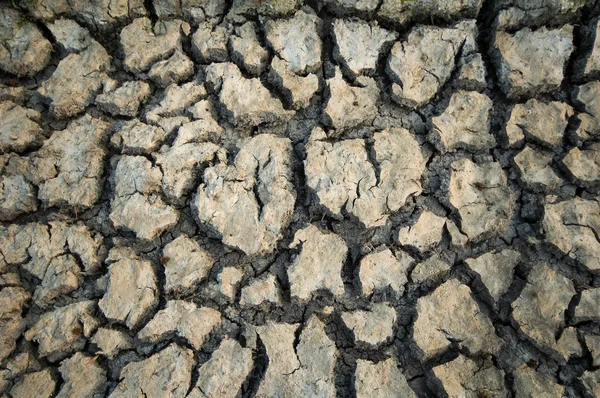 Terreno seco — Fotografia de Stock