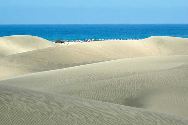 Sanddyner på gran canaria — Stockfoto