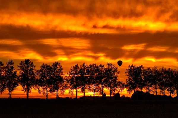 シルエットの木と熱気球 — ストック写真