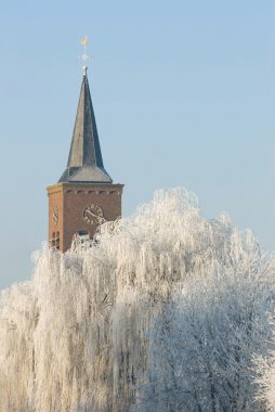 Kilise hoarfrost ağaç