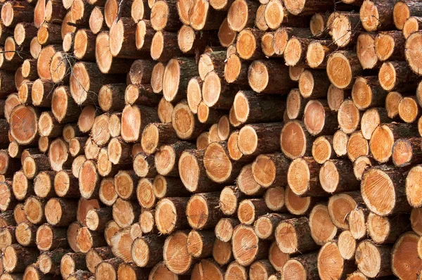 stock image Wood piles