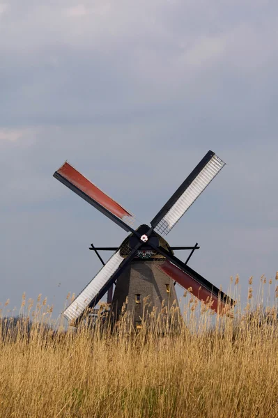 Eine holländische Windmühle — Stockfoto
