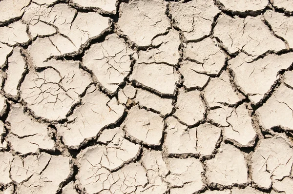Immagine del suolo argilloso screpolato — Foto Stock
