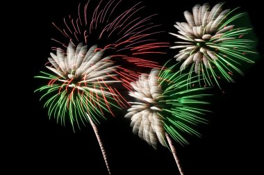 Green and white fireworks clipart