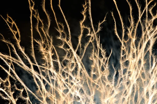 特別な花火 — ストック写真