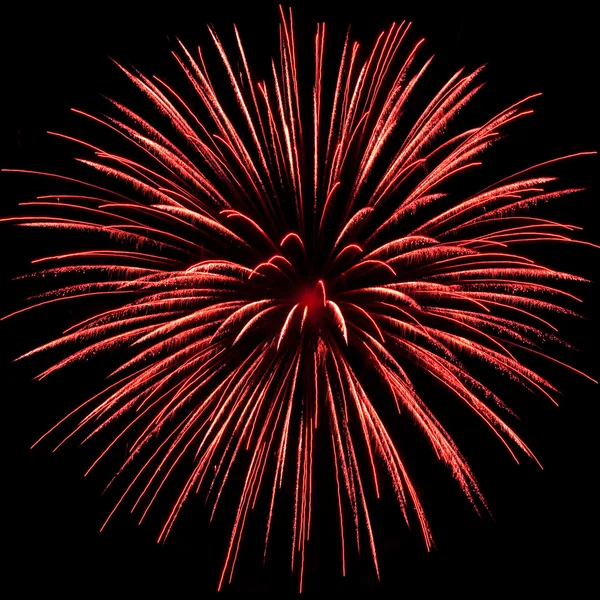Esplosione di fuochi d'artificio rossi — Foto Stock