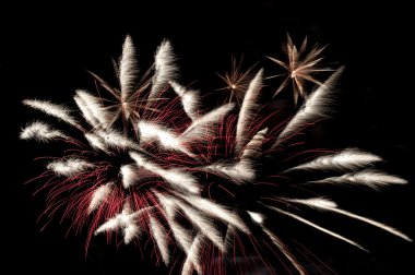 Special fluffy firework clipart