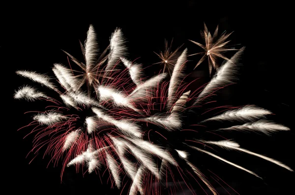 Besonderes flauschiges Feuerwerk — Stockfoto