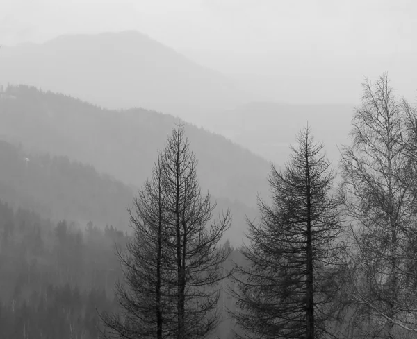 Nevoeiro nas montanhas . — Fotografia de Stock