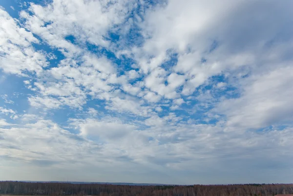 stock image Sky