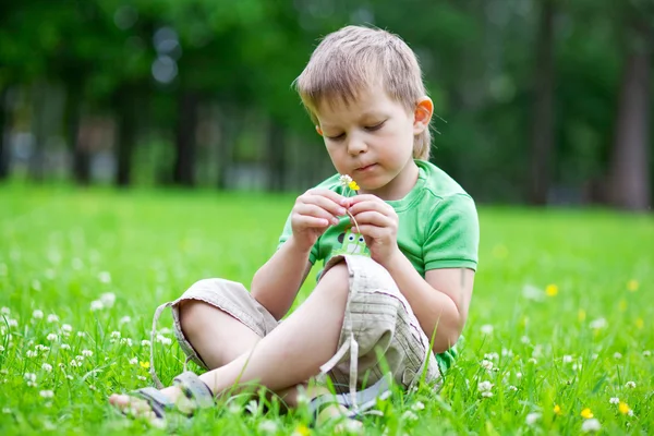 Portrait of a boy smelling flowers — Stock Photo, Image