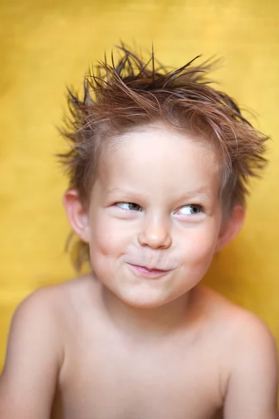 Αστεία δασύτριχος μαλλιά αγόρι Εικόνα Αρχείου