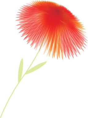 Flower in red tone clipart