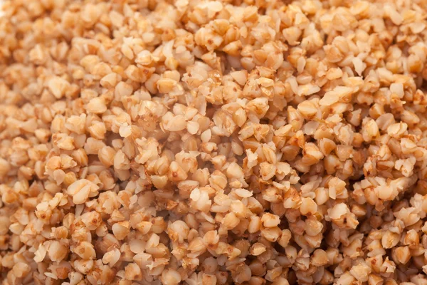 Modello di grano saraceno — Foto Stock