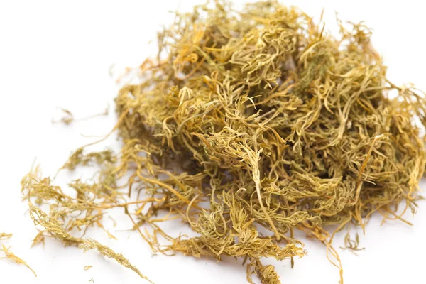 Dried dillweed — Stock Photo, Image