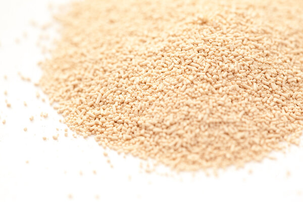 Хлебодрожжи
