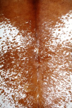 Texture of cow skin clipart